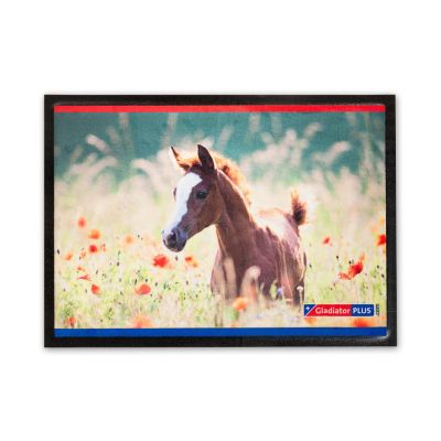 14 GladiatorPLUS Fußmatte "Neugier."